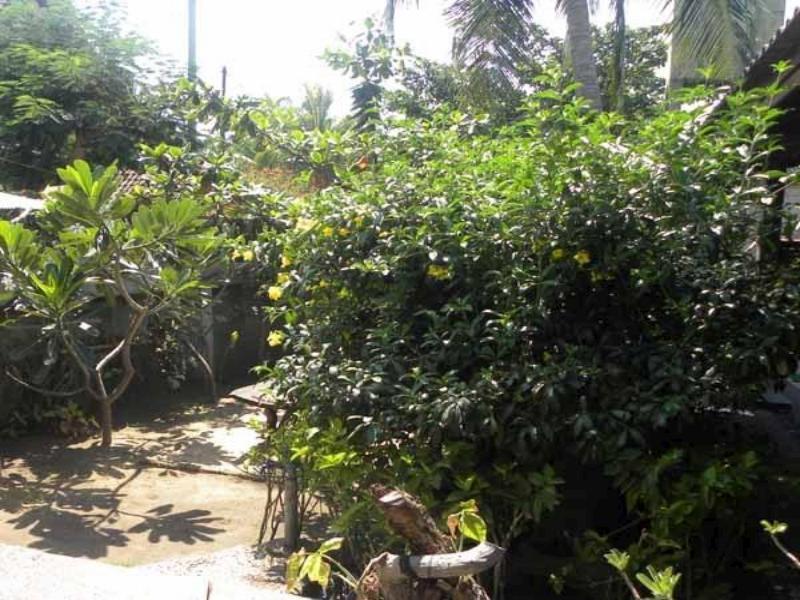 Malino Homestay Gili Trawangan Exterior photo